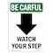 Signmission OSHA CAREFUL Watch Your Step Down Arrow W/ Symbol 24in X 18in Rigid Plastic, 18" W, 24" L, Portrait OS-BC-P-1824-V-10128 - alternate 1
